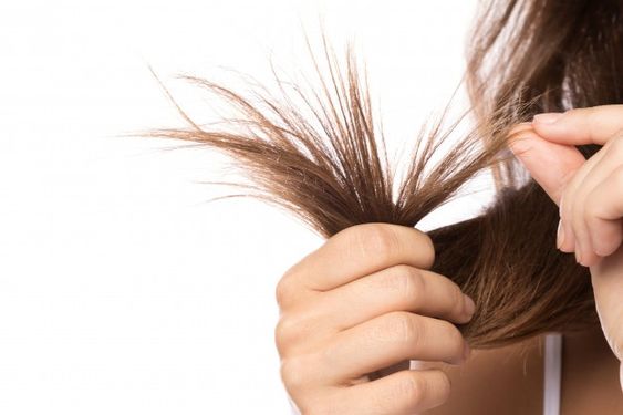 Split Hair